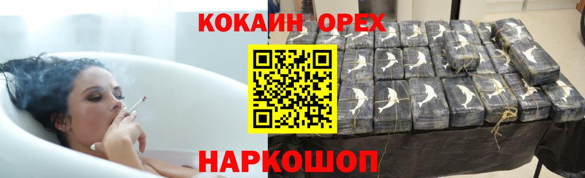 КОКАИН Fish Scale  Вход с VPN  Павлово 