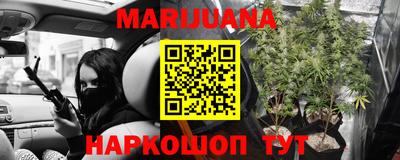 трава Славгород