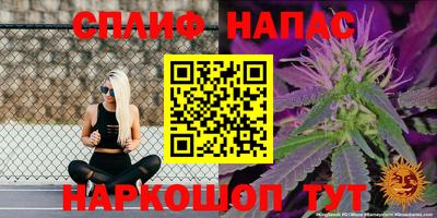 герыч Славянск-на-Кубани