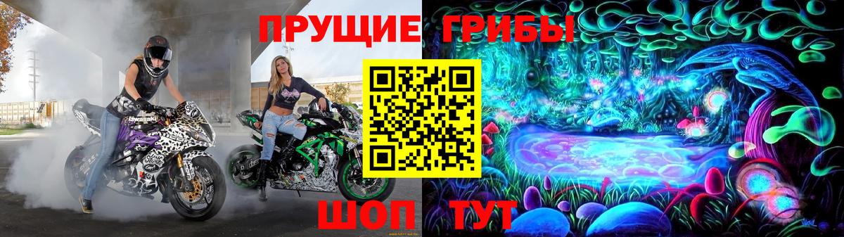 Павлово  Галлюциногенные грибы мицелий  Вход с VPN 